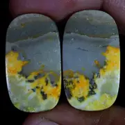 Natural BumbleBee Jasper Matched Pair 33.30 Cts. Cabochon Gemstone For Earring
