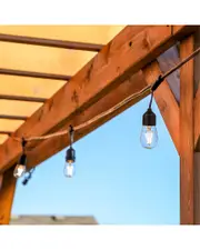 BRIGHTECH Ambience Pro 48' 15 Bulb LED Solar Powered Hanging String Lights