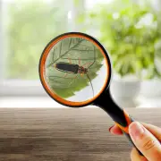 Handheld Portable Glass Lens Magnifier Rubber Handle High Magnifying For Reading