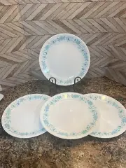 Corelle New Pioneer Woman 4-Piece Dinner Plate Set ,Teal -Evie,