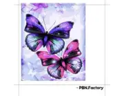 Magic Butterfly 40x50cm Paint By Numbers Kit