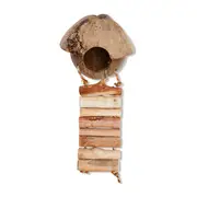 Watson & Williams Coco Hut With Ladder Bird Toy Natural
