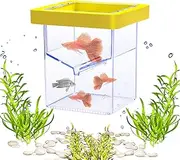 Fish Breeder Box,Breeder Isolation Divider - Aquarium Accessories, Suction Cup Hatching Container for Isolating, Acclimating Or Raising
