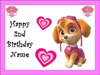 PAW PATROL SKYE Edible Icing Cake Toppers Birthday Cake Decorations (3 Sizes)
