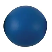 Regent 4kg Shot Puts Round Track & Field Sports Practice/Training Equipment