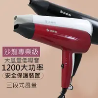 在飛比找ETMall東森購物網優惠-達新牌1200W沙龍級專業吹風機 TS-2300