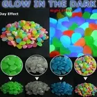 Brighten Up Your Garden with 50PC Glow in The Dark Pebbles for Plant Plots
