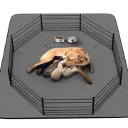Washable Puppy Dog Pee Pad 34 X52 Extra Large Waterproof Whelping