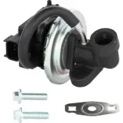 DELPHI EG10602 Exhaust Gas Recirculation (EGR) Valve