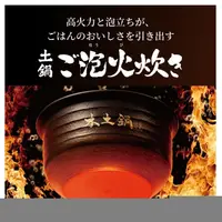 在飛比找樂天市場購物網優惠-【日本出貨丨火箭出貨】Tiger 虎牌 JPL-H100 2