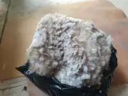 Rockleigh Alpacas - Alpaca Fleece - White - Azure - 900g