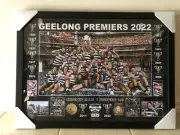 AFL 2022 Geelong Cat Collectible Picture