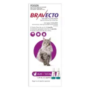 Bravecto Spot On For Large Cats (6.25 - 12.5 Kg) Purple