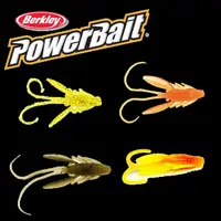 在飛比找蝦皮購物優惠-Berkley 貝克力 PowerBait Power Ny