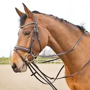 Horze Sparta Leather Draw Reins