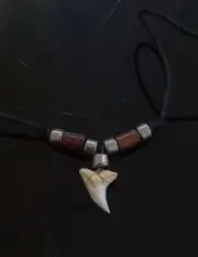 Real white shark tooth necklace