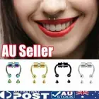 Magnetic Nose Ring Fake Septum Segment Helix Tragus Faux Clicker Non-Piercing KZ
