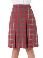 Dark Red & Grey Plaid Snr Skirt