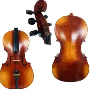 Rare Professional song maestro 5 Strings Cello 4/4, Stradivarius Model #14570