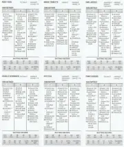 1940 Detroit Tigers 90-64 AL Champs Strat-O-Matic Diamond Gems 26 Cards SA