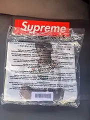Supreme Tyler the Creator Photo Tee FW24 Pale Mint Large *IN HAND SHIP READY*