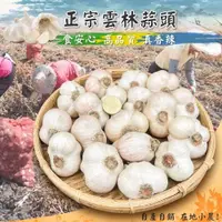 在飛比找iOPEN Mall優惠-【免運】雲林蒜頭 蒜頭 蒜球 蒜瓣 蒜米 手工整理 在地小農