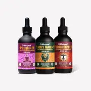 [Lifecykel] Professional Athlete's Pack - Lion's Mane, Cordyceps & Reishi, 120ml