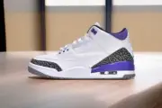 New Nike Air Jordan 3 Retro Dark Iris Men's shoes CT8532-105