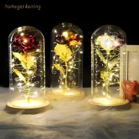 在飛比找蝦皮購物優惠-9 Colour Red Rose In Glass Woo