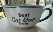 Best Cat Mom Ever Cat Lover White Blue Black Ceramic Coffee Mug