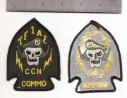 #173 US ARMY SPECIAL FORCES TASK FORCE 1 PATCH