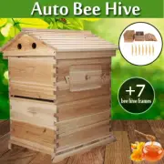 Auto Shed Bee Hives Beehive Cedarwood Honey House + 7 Plastic Beekeeping Frames