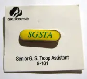 Girl Scout SGSTA SENIOR TROOP ASSISTANT PIN Bar Earned Award Leader Training HTF