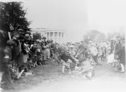 Kids rolling Easter Eggs White House Washington DC April 1, 1929 New 8x10 Photo