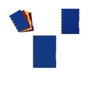 Filofax Notebook Colour Index 4pk - A5