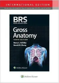 在飛比找樂天市場購物網優惠-BRS: Gross Anatomy (IE) 10/e H