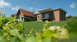 Ferienhauser im Weingarten