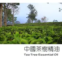 在飛比找蝦皮購物優惠-【ls】中國茶樹精油 Tea Tree Essential 