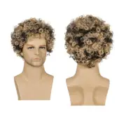 Mens Rocker Wig Man Fake Hairpiece Headgear Men's Wigs Short Curly