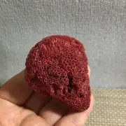Natural Red coral reef Cluster Ocean Mineral Crystal Specimen 36g d019