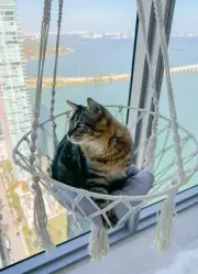 Boho Macrame Cat Hammock - Hanging Cat Bed with Cushion, Cat Swing Bed