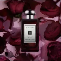 在飛比找蝦皮購物優惠-Jo Malone Velvet Rose & Oud 絲絨