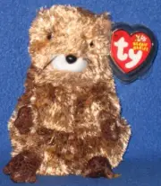 TY PUNXSUTAWN-E PHIL the GROUNDHOG BEANIE BABY - MINT with MINT TAGS