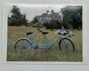 Vintage Anniversary Card Palm Press Tandem Bike Backyard By Evan Sklar 7x5” P1