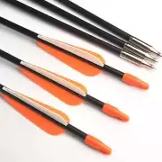 31 Inches Fiberglass Arrow Spine 700 Diameter 7mm for Recurve /Long Bow