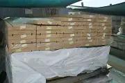 Primed Treated Pine Fascia - 230mm x 30mm x 4.8m