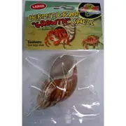 Large Single Hermit Crab Growth Shell by Zoo Med