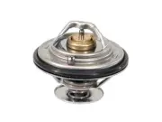For 1994-2004 Volkswagen Jetta Thermostat Mahle 62161SP 2000 1998 2003 2001 1995 (for: Volkswagen)