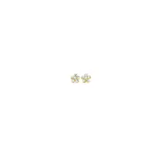 9ct Gold Cubic Zirconia Flower Stud Earrings in Clear