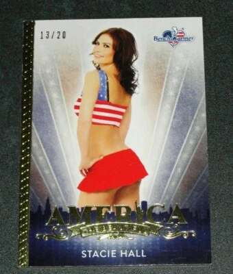 2017 Benchwarmer STACIE HALL America the Beautiful #111 Gold Foil/20 The HILLS